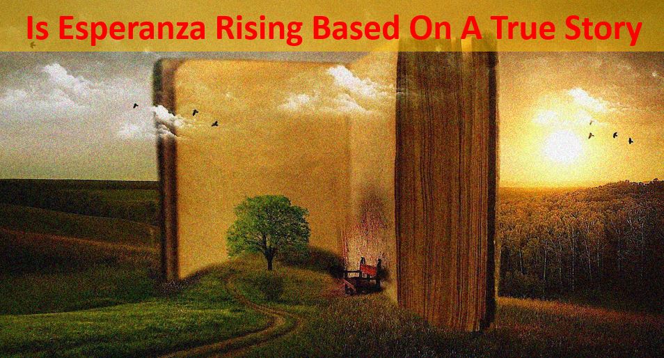 Is the Perks of Being A Wallflower A True Story? Stephen Chbosky Talks The Perks of Being a Wallflower