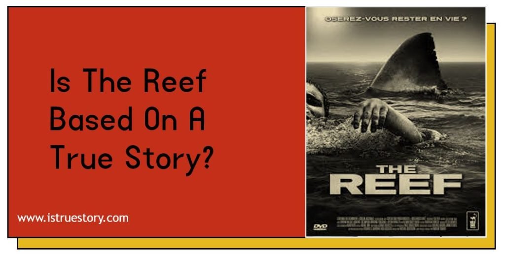 Is The Reef Based On A True Story? What happened, the backstory of Movie 1 Is The Reef Based On A True Story