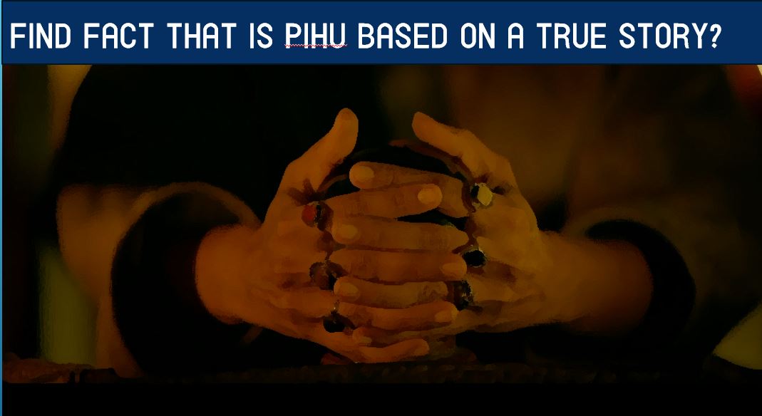 Find-Fact-that-Is-Pihu-based-on-a-True-Story1