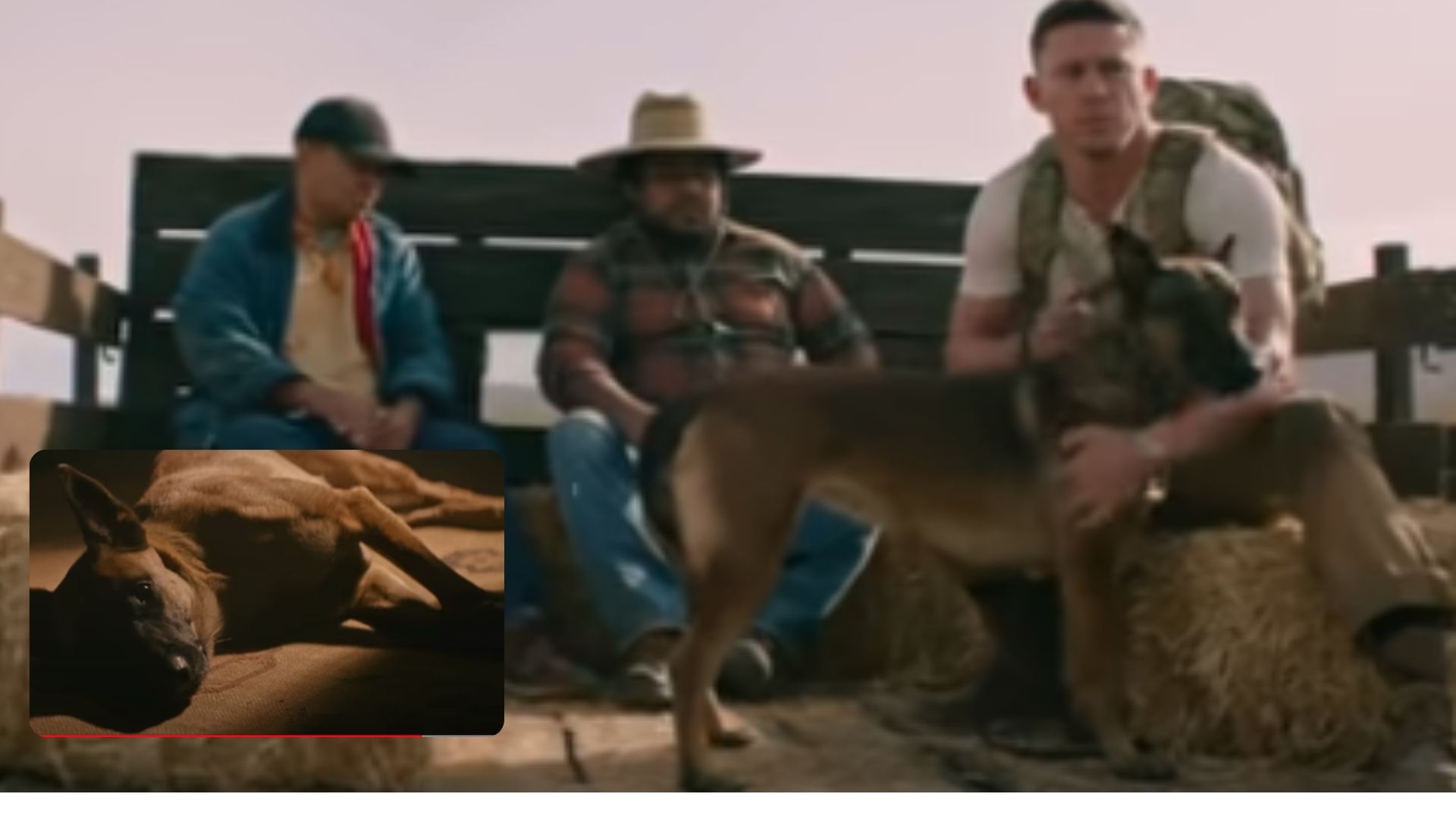 How much of dog is a true story?