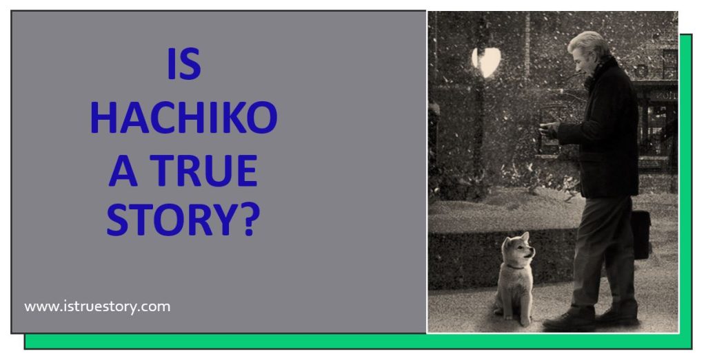 Is Hachiko A True Story? Real Tale of Loyalty and Love 1 is hachiko based on a true story