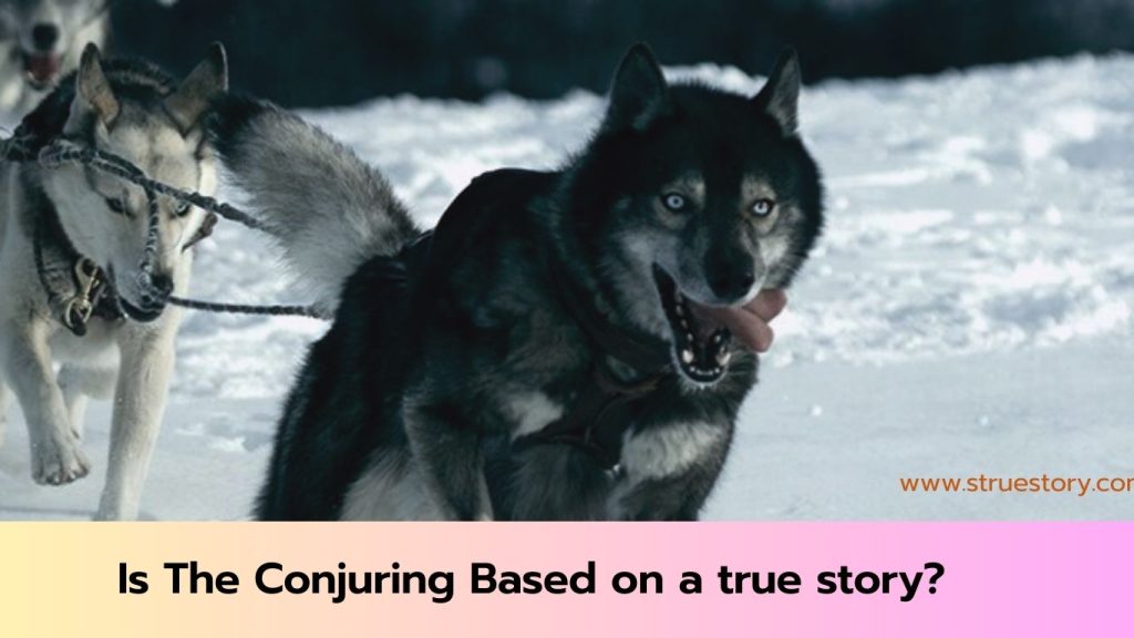 Is Togo Based on A True Story? Leonhard Seppala Courage and Adventure 1 is togo based on a real story