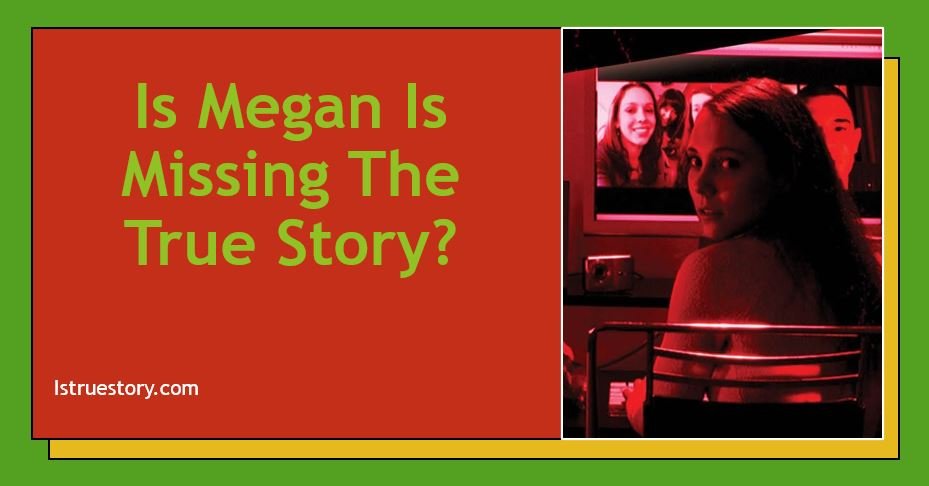 Megan Is Missing The True Story