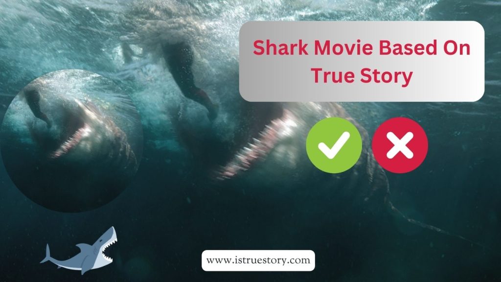 Open Water Shark Movie Based On True Story: Real-Life Ocean Thrills 1 shark movie based on true events